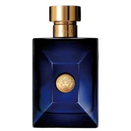 Dylan Blue Perfume 100ml 3.4oz Men Perfume Fragrance Ves Pour Homme Eau De Toilette Man Parfum Natural Spray Long Smell Cologne