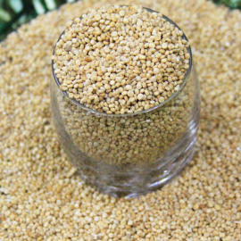 Quinoa Seeds