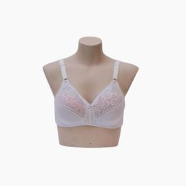 Ifg Vision Bra Latest Collection